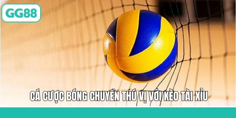 Cá cược bóng chuyền thú vị với kèo tài xỉu